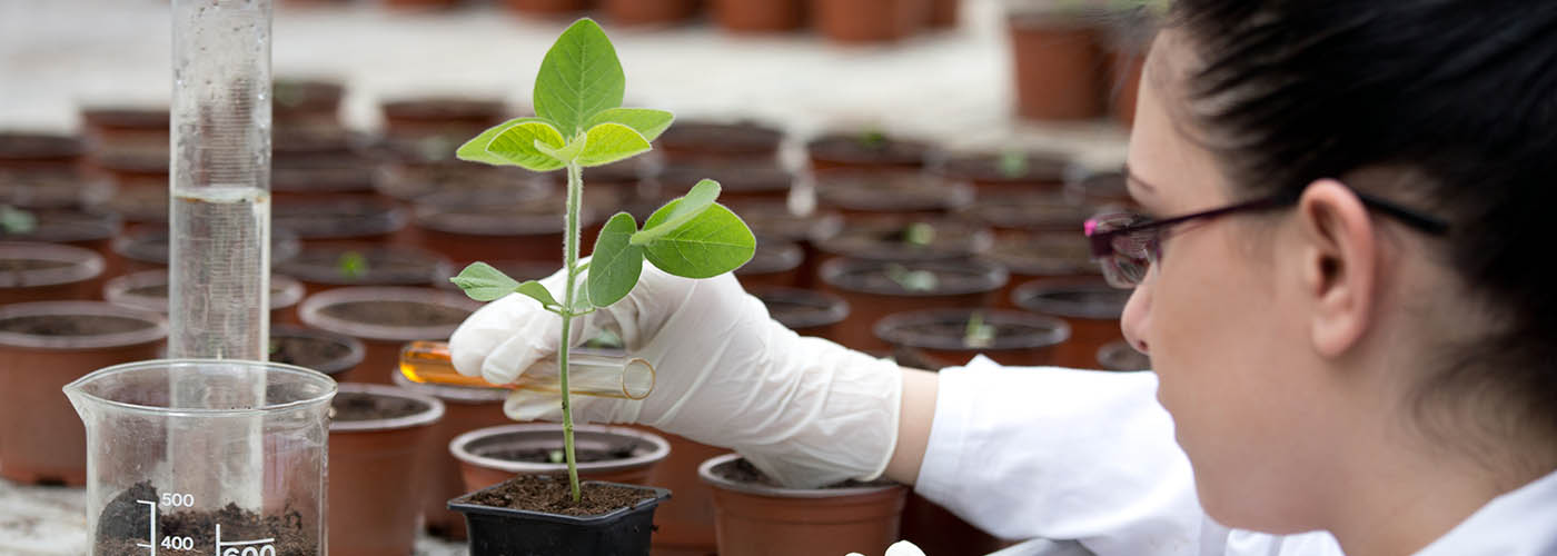 Student conducting an experiment with a plant.